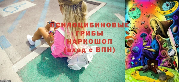 прущие грибы Армянск