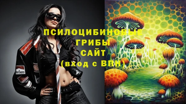 прущие грибы Армянск