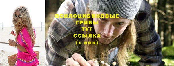 дживик Сатка