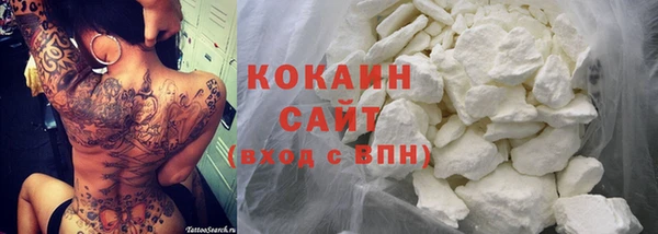 прущие грибы Армянск
