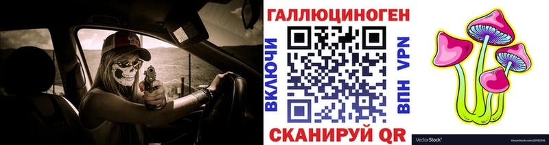 Галлюциногенные грибы Psilocybine cubensis  продажа наркотиков  Сосновый Бор 