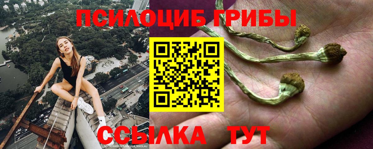 Вейп ТГК  Alpha-PVP СОЛЬ   Вход с VPN  Каннабис  Сосновый Бор  Меф  Кокаин  Меф кристаллы  ГАШ  Экстази 