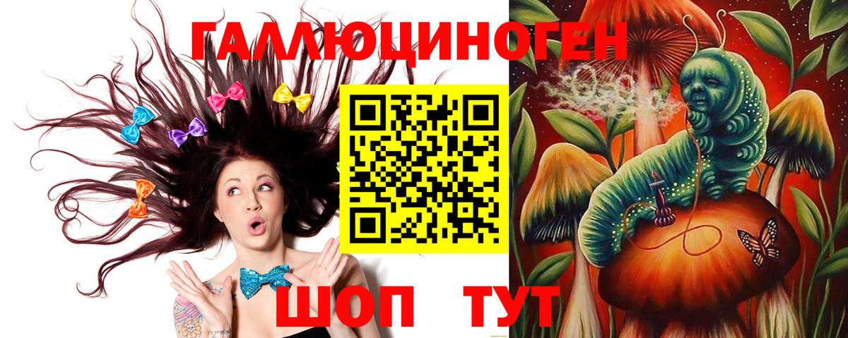 Сосновый Бор  Псилоцибиновые грибы мухоморы  Вход с VPN 