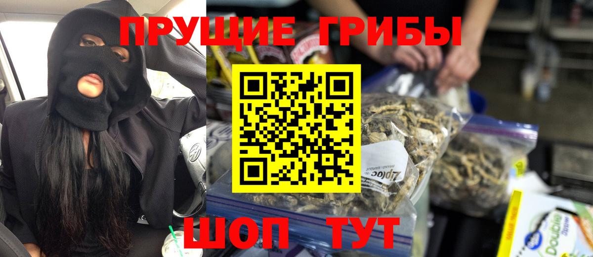 Галлюциногенные грибы Cubensis Сосновый Бор